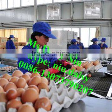 Automatic Egg Weighing Grading Machine/egg Grading Packing Machine/egg Grader for Packing photo-5