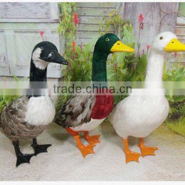 stuffed birds ornaments taxidermy figurine duck