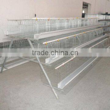 Automatic 15000 egg production Laying Cage chicken run