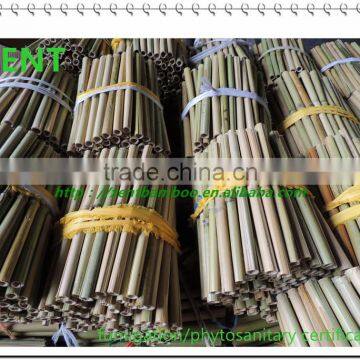 ZENT-111 bamboo poles manufacturers dry bamboo pole ram bamboo poles