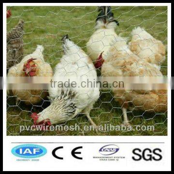 alibaba China wholesale CE&ISO certificated hexagonal decorative chicken wire mesh(pro manufacturer)