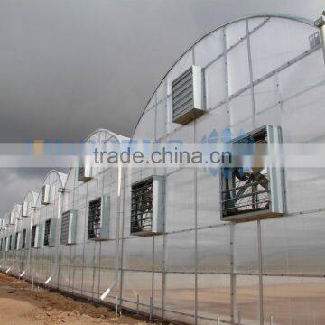 Double Layer Air Inflated Plastic Greenhouse