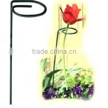 Single Supports for Prized Flowers