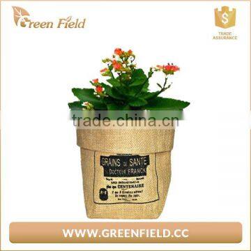 Herb Planter Jute Grow Bag,small Round Planter Jute Grow Bag photo-3