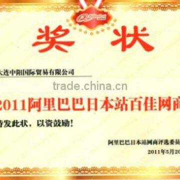 TOP 100 Japanese Market Supplier