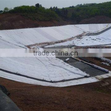 Composite Geomembrane 200g/m2 0.3mm Factory Price photo-4