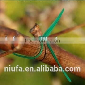 Good Quality Metal Wire Twist Tie Wire for Grape Vines photo-2