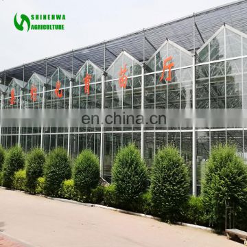 Low price glass greenhouse for sale