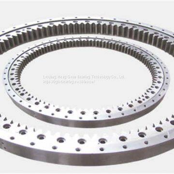 Heavy Duty Slewing Ring Bearings for Bucket wheel machine