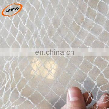 Anti Bird Plastic Clear Stretch Netting For Fruit Protection photo-2