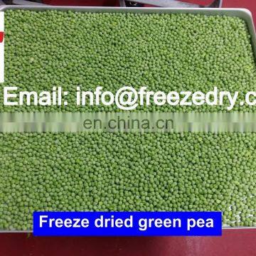 High Quality Vacuum Food Freeze Drying Equipment