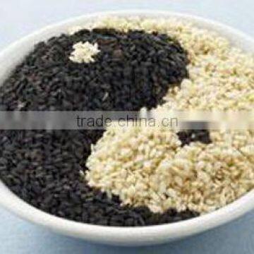 white roasted sesame powder