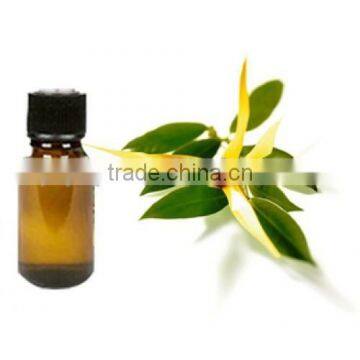 hot sale natural patchouli oilCAS#8014-09-3 Factory wholesale 98% min