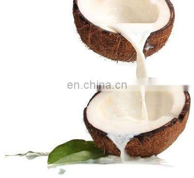 Natural Organic Coconut Milk Powder for Drink in Viet Nam photo-4