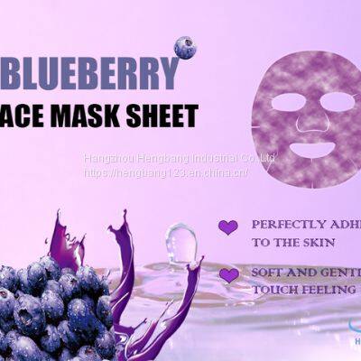 Blueberry Face Mask Sheet