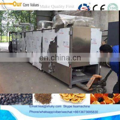 5 Layers Belt Dryer Machine,continuous Belt Dryer,net Belt Dryer for Fruit and Vegetables 008613673685830 photo-2
