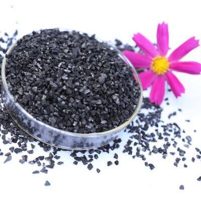 Coconut-Based Activated Carbon for Heavy Metal Removal & COD Reduction