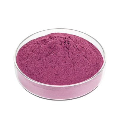 Bilberry Extract photo-2