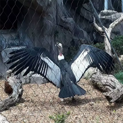 Birds Aviary Zoo China Stainless Steel Flexible Wire Ferrule Cable Rope Mesh Net for Zoo Animal X-Tend Zoo Mesh photo-4