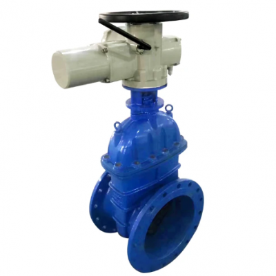 High Quality Electric Gate Valve Flange Gate Valve photo-2
