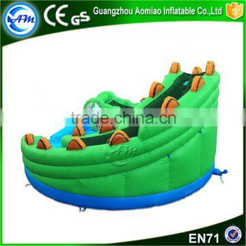Promotional Excellent Quality Adult Giant Inflatable Water Slide for Sale Supplier's Choice photo-2