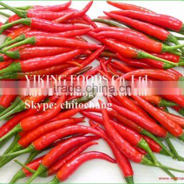 SMALL CHILI HIGH QUALITY FROM VIETNAM