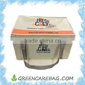 High Quality Printed PP Non Woven Shopping Box with PP Board