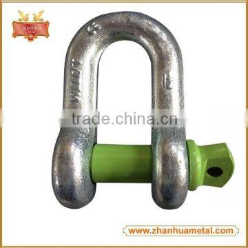 Carbon Steel G210 US Type Forged D Shackle (With color Pin)