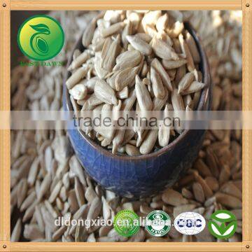 White Sunflower Kernels Name of Oil Seeds photo-2