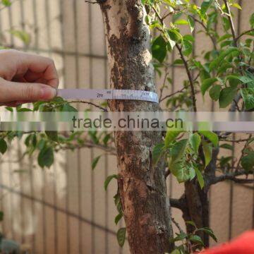 2M tree diameter measuring the radius pipe OD construction steel measuring tape with Your Logo