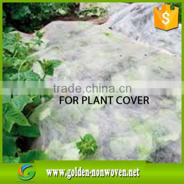 Biodegradable Vegetation Cover PP SpunBond Non woven Fabric/Wholesale Cheap Fabric polypropylene Nonwoven for Garden Cover