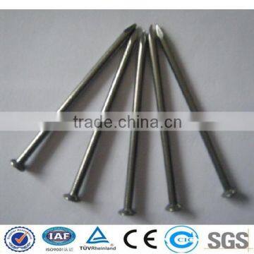 high quality common nails price/common round wire nails