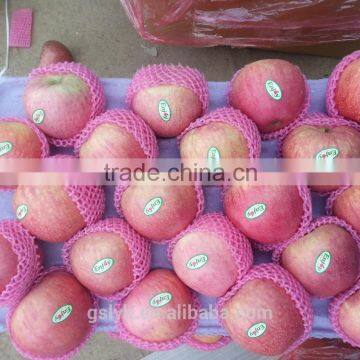 SHAAN XI APPLES