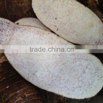 Fresh Chinese Taro for Sale photo-6