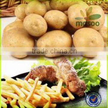 chinese fresh potato