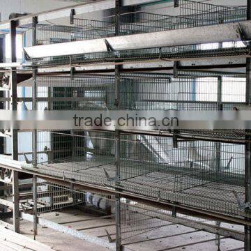 advanced automatic poultry manure removal system