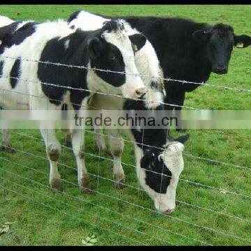 Field fence/Grassland fence/Horse fence/Cattle fence