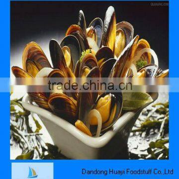 frozen shell mussel