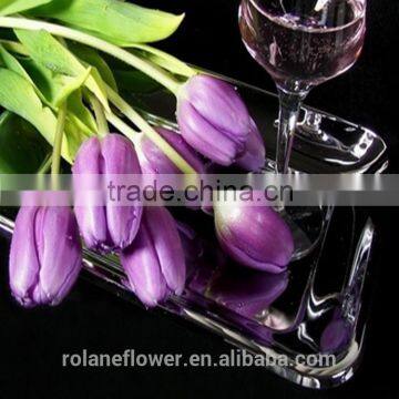 the elegent high quality tulip flower for wholesale