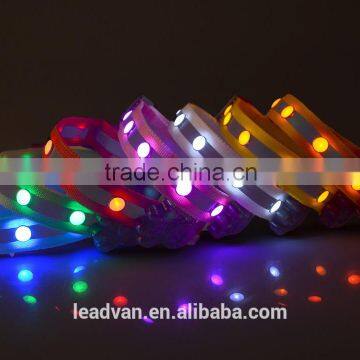 Light up You and Your Pet Dog Evening Dog Collar With Led Lights