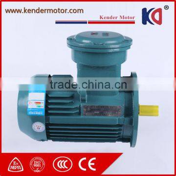 Explosion Proof Motor Three Phase Induction Motor With High Quality