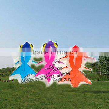 sport products manufactrers cheap kite