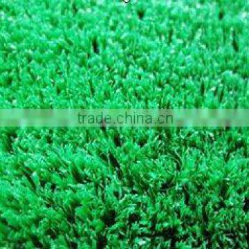 artificial grass