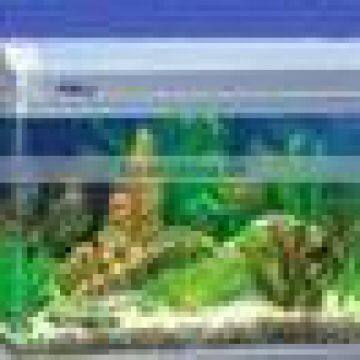 yuemei mini glass aquarium fish tank R-620
