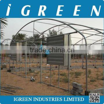 Single Tunnel Polycarbonate Sheet Vegetable Greenhouse From CHINA photo-5
