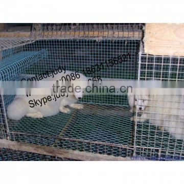 Galvanized Iron Wire,Low-Carbon Iron Wire Material and Welded Mesh Type welded wire mesh panel