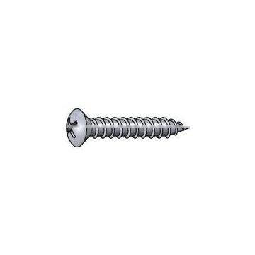 Phillips oval head screw