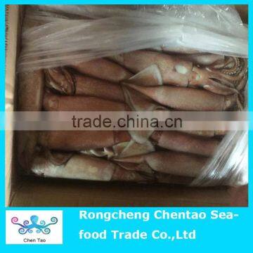 Hot Sale Frozen Squid as Fish Bait photo-6
