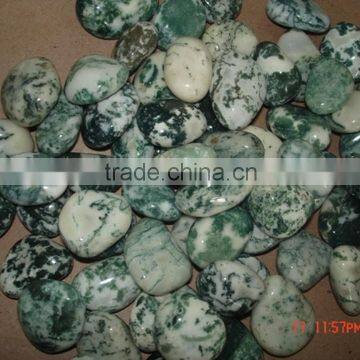 Tree Agate Pebbles