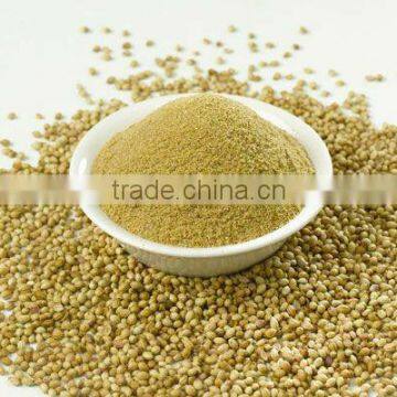 Coriander powder